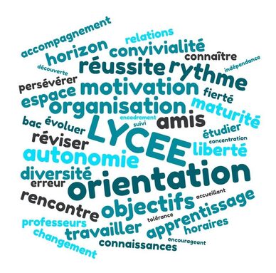 nuage-de-mots-classe-de-seconde.jpg